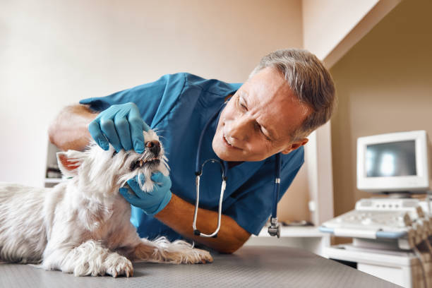 Best Pediatric Emergency Dentist in Fort Washington, PA